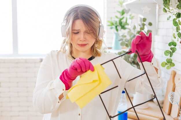 Подготовка инвентаря и моющих средств: что взять для кухни, санузла, пола и текстиля и в какой последовательности применять