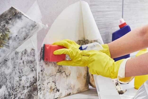 Чайник: удаление накипи лимонной кислотой – сколько грамм на литр и время замачивания