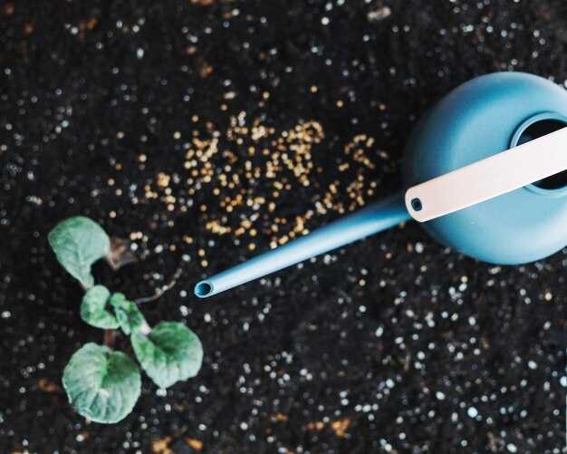 Расчёт дозы и графика внесения – нормы на м?, сроки подкормок по фазам роста и способы внесения